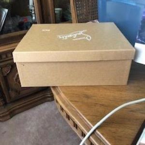 Christian Louboutin Shoe Box